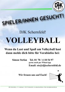 Read more about the article Volleyball